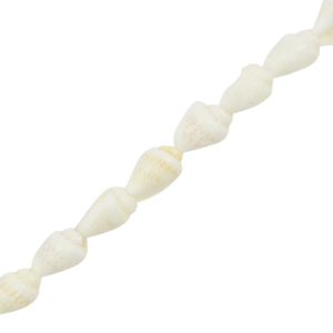 Shell beads Whelks White (natural colour)