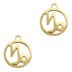 Stainless steel charms zodiac sign Capricorn Gold