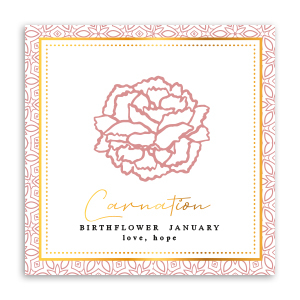 Jewellery cards Birth flower January-Carnation Red