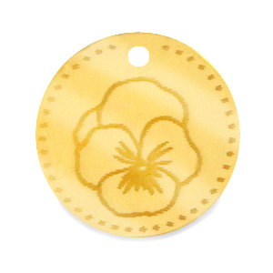 Plexx charms 20mm Birth flower February-Violet Gold