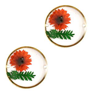 Connectors with dried flowers 20mm Gold-Red Green
