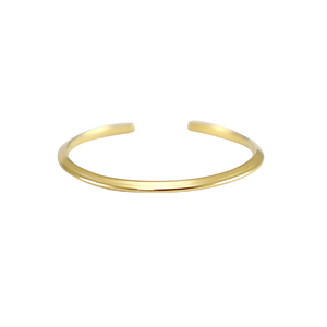 Stainless steel rings Gold