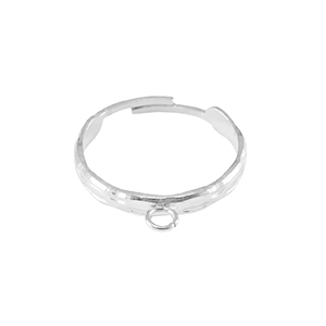 Stainless steel rings with loop Silver
