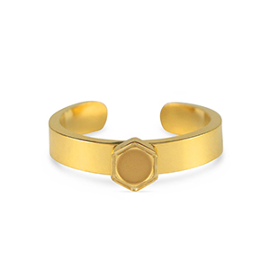 Birthstones ring with setting for SS16 flat back Stainless Steel Gold