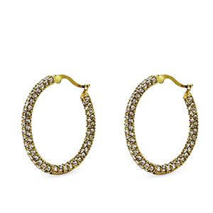 Stainless steel earrings zirconia creole Gold