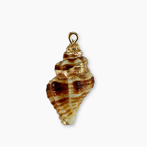 Shell pendants specials Brown-Gold