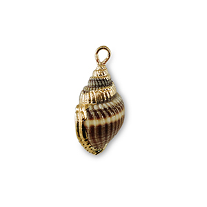 Shell pendants specials Grey Brown-Gold