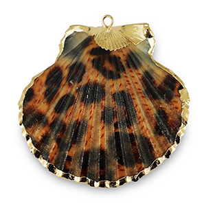 Shell pendants specials Scallop leopard Copper Brown-Gold