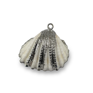 Shell pendants specials Scallop White-Silver