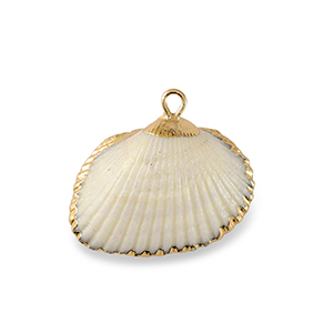 Shell pendants specials Scallop White-Gold
