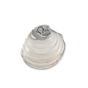 Shell pendants specials Mussel Creamy White-Silver