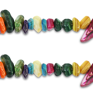 Shell beads chipstone Multicolour