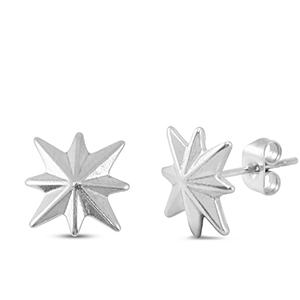 Stainless steel earrings / earpins star Silver