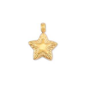 Stainless steel charms star Gold