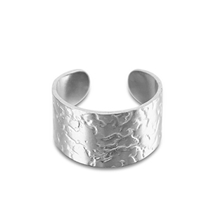 Stainless steel rings Silver