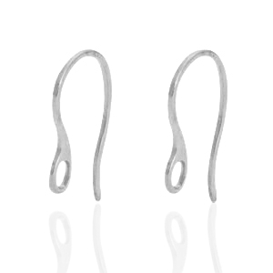 Stainless steel earrings with loop Silver