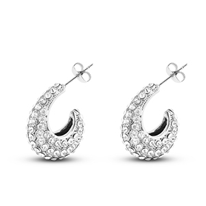 Stainless steel earrings / earpins Silver