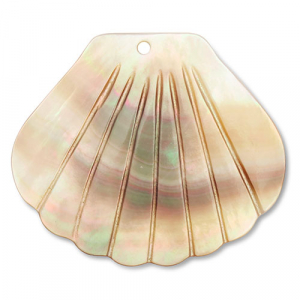 Shell pendants scallop White (natural colour)-Brown