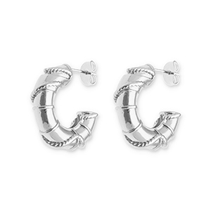 Stainless steel earrings / earpins Silver