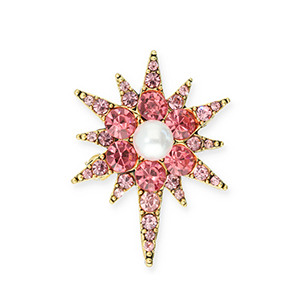 Brooches star Gold-Pink-White
