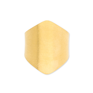 Stainless steel rings Gold