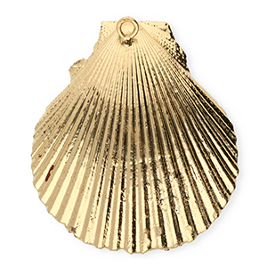 Shell pendants specials scallop Gold