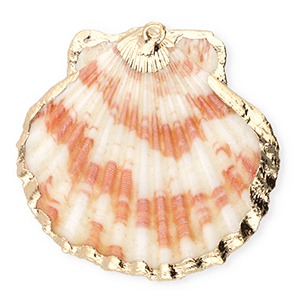 Shell pendants specials scallop Dark Pink-Gold