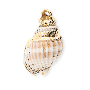 Shell pendants specials whelk Off White-Gold