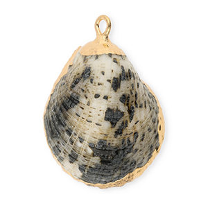 Shell pendants specials Grey-Gold