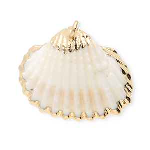 Shell pendants specials scallop White-Gold