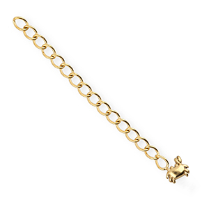 BY31&reg; Stainless Steel findings extension chain set crab Gold