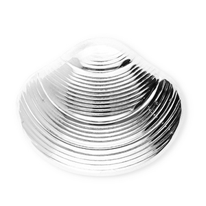 Stainless steel statement brooches shell Silver