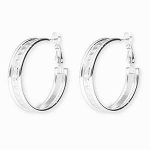 Stainless steel earrings&nbsp;/&nbsp;creoles Silver