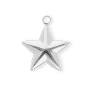 Stainless steel charms star Silver