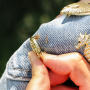 Inspiration with eye-catching sealife brooches